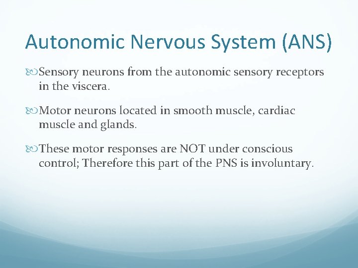 Autonomic Nervous System (ANS) Sensory neurons from the autonomic sensory receptors in the viscera.
