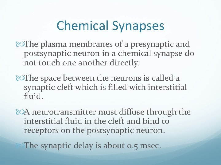 Chemical Synapses The plasma membranes of a presynaptic and postsynaptic neuron in a chemical