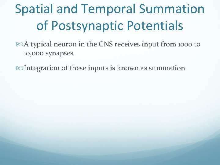 Spatial and Temporal Summation of Postsynaptic Potentials A typical neuron in the CNS receives