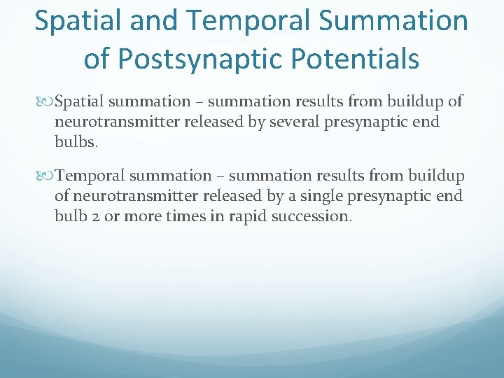 Spatial and Temporal Summation of Postsynaptic Potentials Spatial summation – summation results from buildup