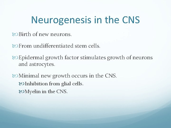 Neurogenesis in the CNS Birth of new neurons. From undifferentiated stem cells. Epidermal growth