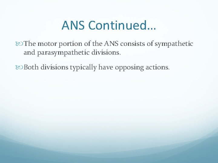 ANS Continued… The motor portion of the ANS consists of sympathetic and parasympathetic divisions.