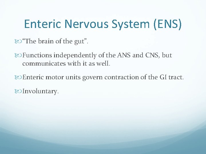 Enteric Nervous System (ENS) “The brain of the gut”. Functions independently of the ANS
