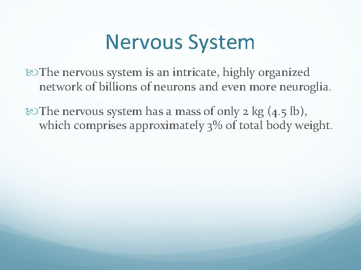 Nervous System The nervous system is an intricate, highly organized network of billions of