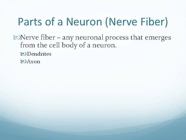 Parts of a Neuron (Nerve Fiber) Nerve fiber – any neuronal process that emerges