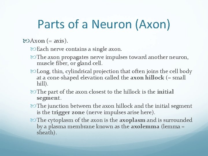 Parts of a Neuron (Axon) Axon (= axis). Each nerve contains a single axon.