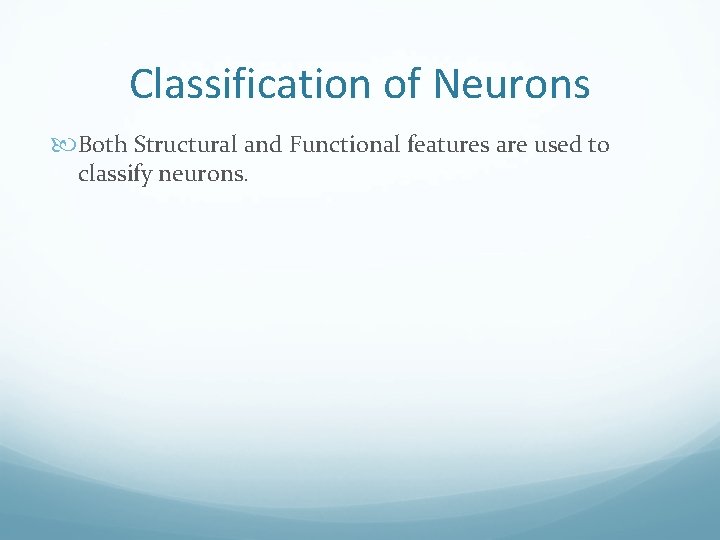 Classification of Neurons Both Structural and Functional features are used to classify neurons. 