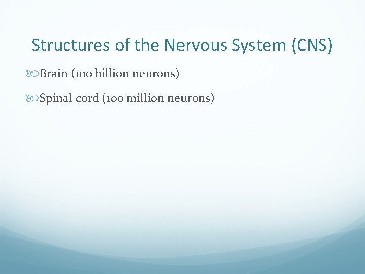 Structures of the Nervous System (CNS) Brain (100 billion neurons) Spinal cord (100 million