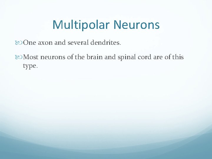 Multipolar Neurons One axon and several dendrites. Most neurons of the brain and spinal