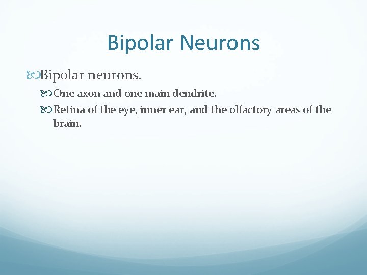 Bipolar Neurons Bipolar neurons. One axon and one main dendrite. Retina of the eye,