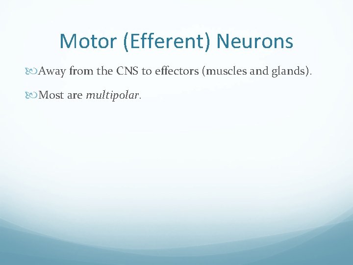 Motor (Efferent) Neurons Away from the CNS to effectors (muscles and glands). Most are