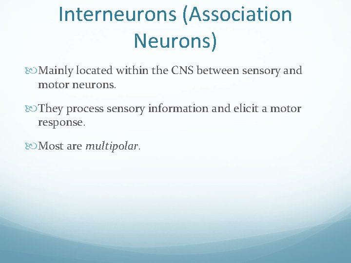 Interneurons (Association Neurons) Mainly located within the CNS between sensory and motor neurons. They