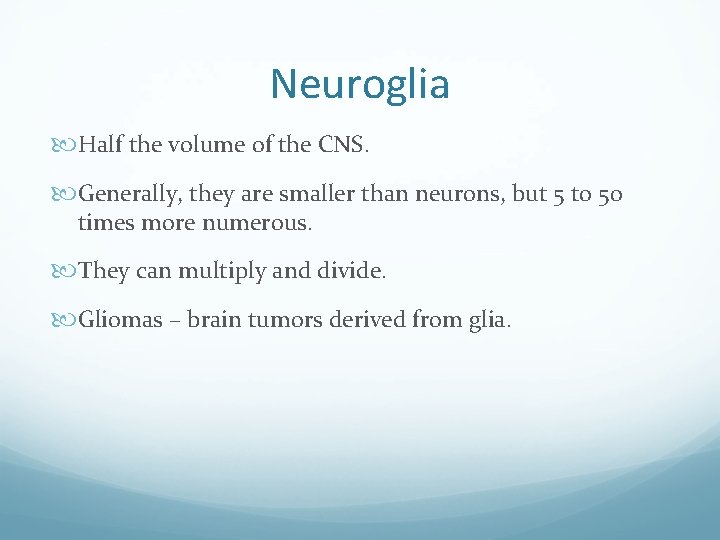 Neuroglia Half the volume of the CNS. Generally, they are smaller than neurons, but