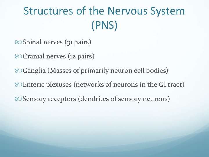 Structures of the Nervous System (PNS) Spinal nerves (31 pairs) Cranial nerves (12 pairs)