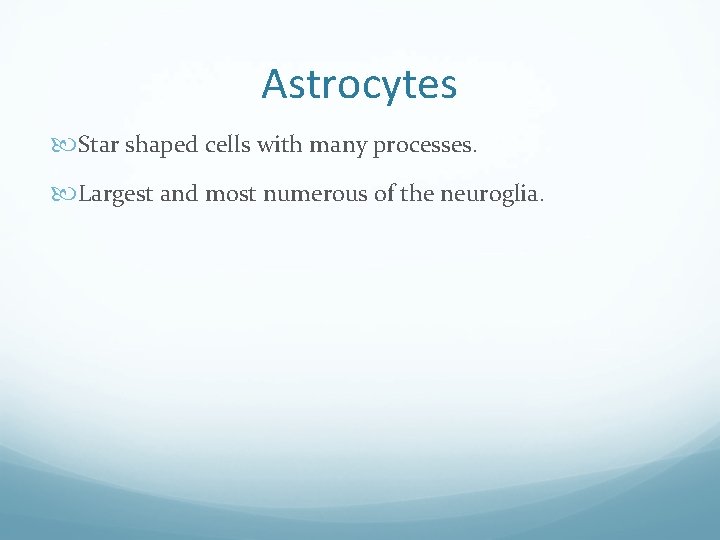 Astrocytes Star shaped cells with many processes. Largest and most numerous of the neuroglia.