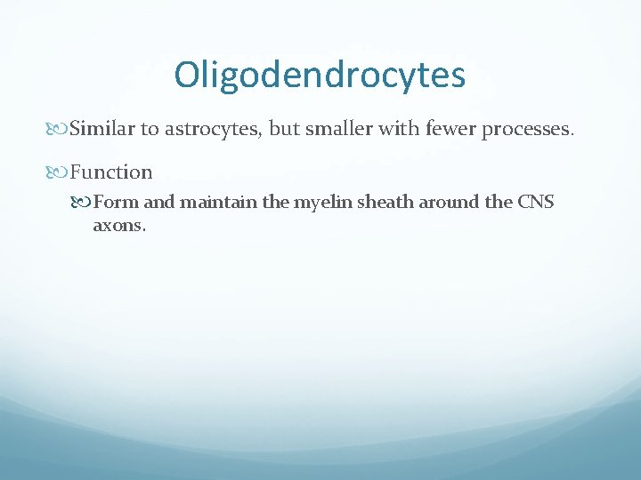 Oligodendrocytes Similar to astrocytes, but smaller with fewer processes. Function Form and maintain the