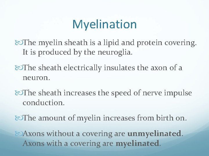 Myelination The myelin sheath is a lipid and protein covering. It is produced by