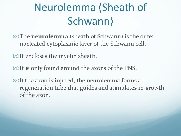 Neurolemma (Sheath of Schwann) The neurolemma (sheath of Schwann) is the outer nucleated cytoplasmic