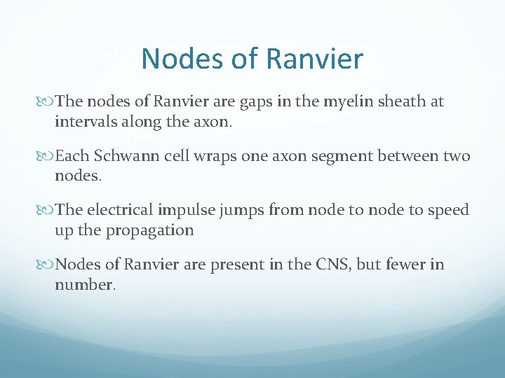 Nodes of Ranvier The nodes of Ranvier are gaps in the myelin sheath at