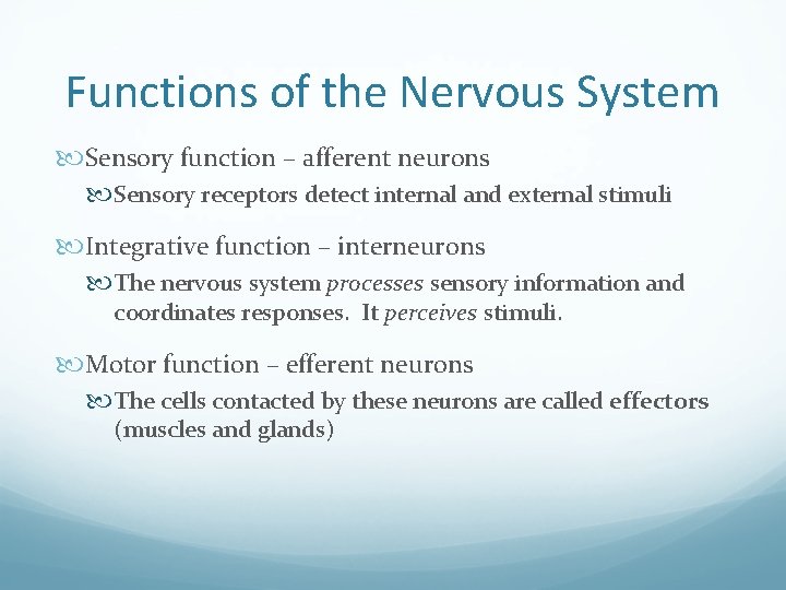 Functions of the Nervous System Sensory function – afferent neurons Sensory receptors detect internal