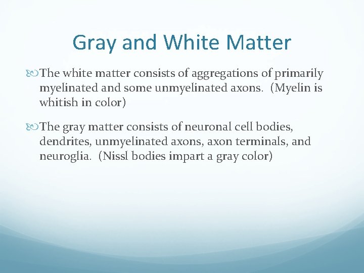 Gray and White Matter The white matter consists of aggregations of primarily myelinated and
