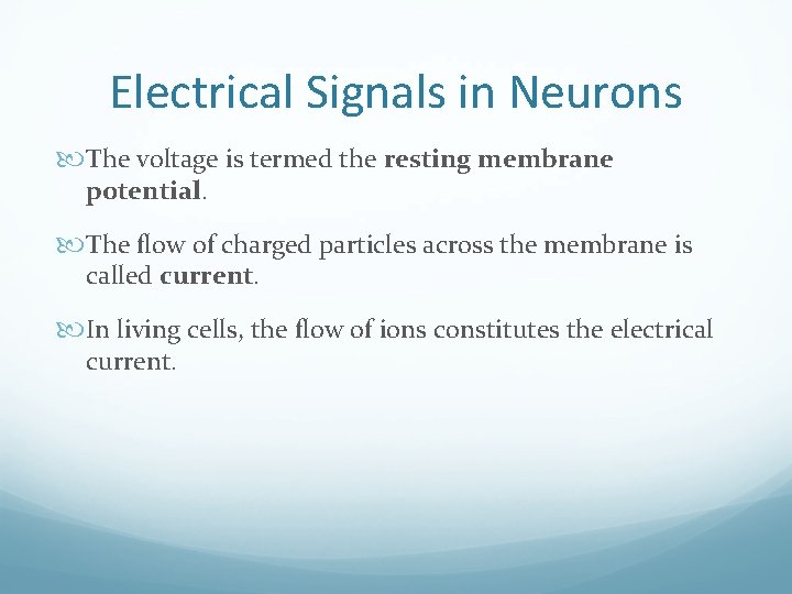 Electrical Signals in Neurons The voltage is termed the resting membrane potential. The flow