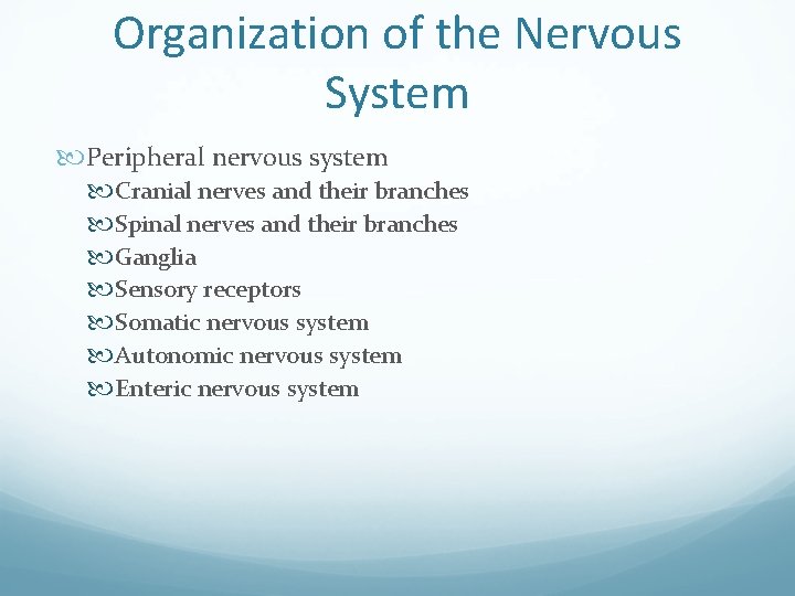 Organization of the Nervous System Peripheral nervous system Cranial nerves and their branches Spinal