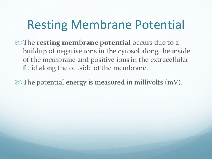 Resting Membrane Potential The resting membrane potential occurs due to a buildup of negative