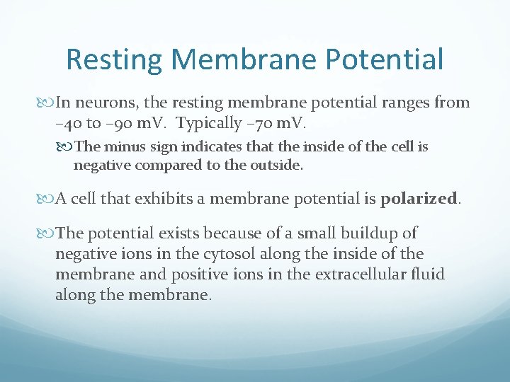 Resting Membrane Potential In neurons, the resting membrane potential ranges from – 40 to