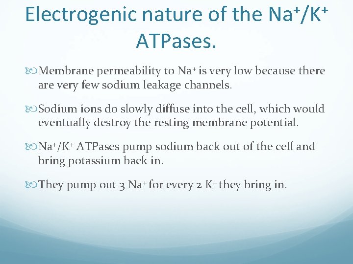 Electrogenic nature of the Na+/K+ ATPases. Membrane permeability to Na+ is very low because