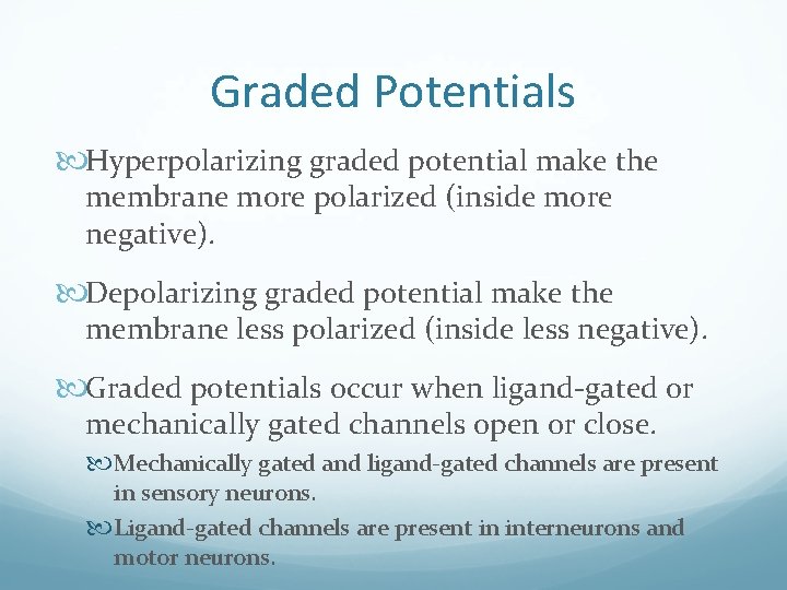 Graded Potentials Hyperpolarizing graded potential make the membrane more polarized (inside more negative). Depolarizing