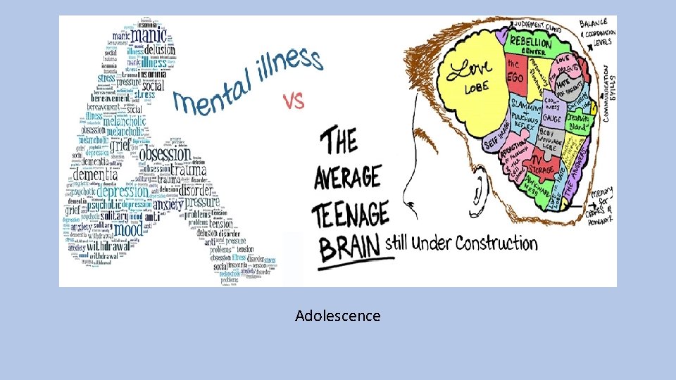 Adolescence 
