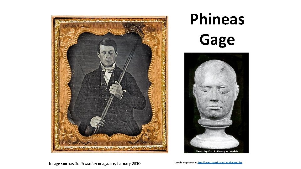 Phineas Gage Image source: Smithsonian magazine, January 2010 Google image source: http: //www. sruweb.