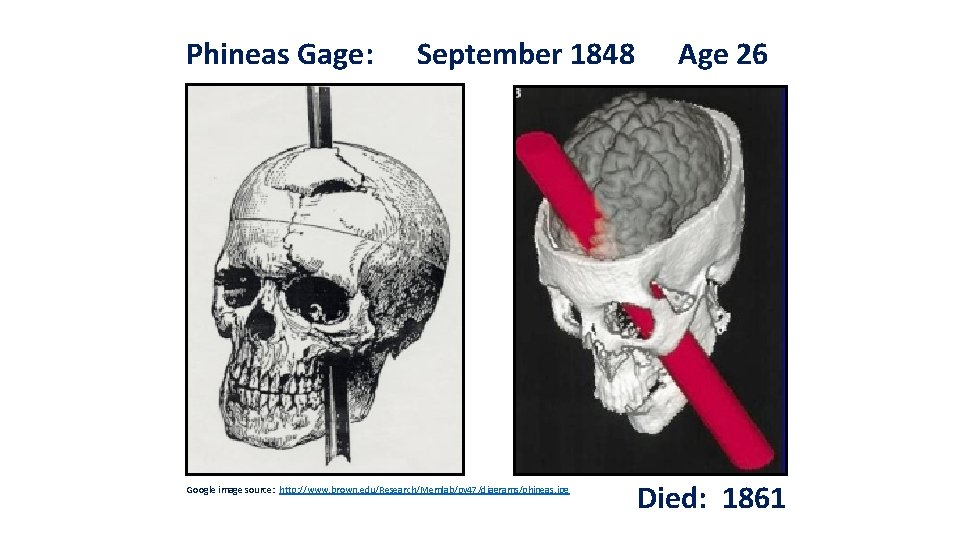 Phineas Gage: September 1848 Google image source: http: //www. brown. edu/Research/Memlab/py 47/diagrams/phineas. jpg Age