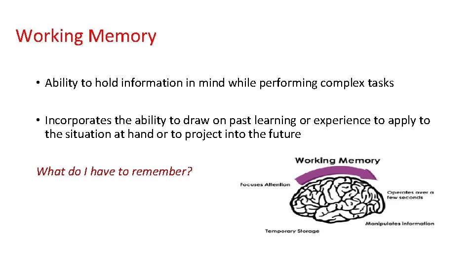 Working Memory • Ability to hold information in mind while performing complex tasks •