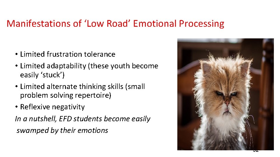 Manifestations of ‘Low Road’ Emotional Processing • Limited frustration tolerance • Limited adaptability (these