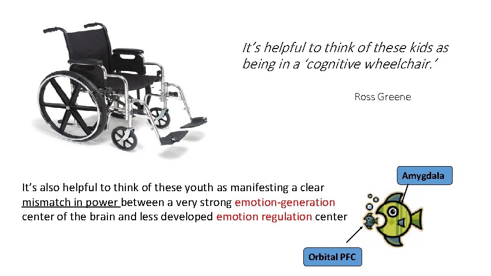It’s helpful to think of these kids as being in a ‘cognitive wheelchair. ’