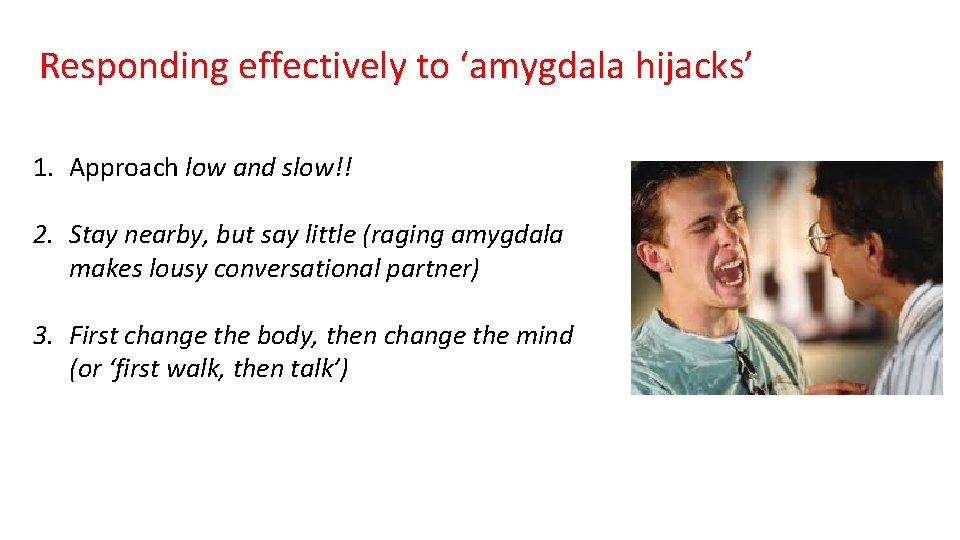 Responding effectively to ‘amygdala hijacks’ 1. Approach low and slow!! 2. Stay nearby, but