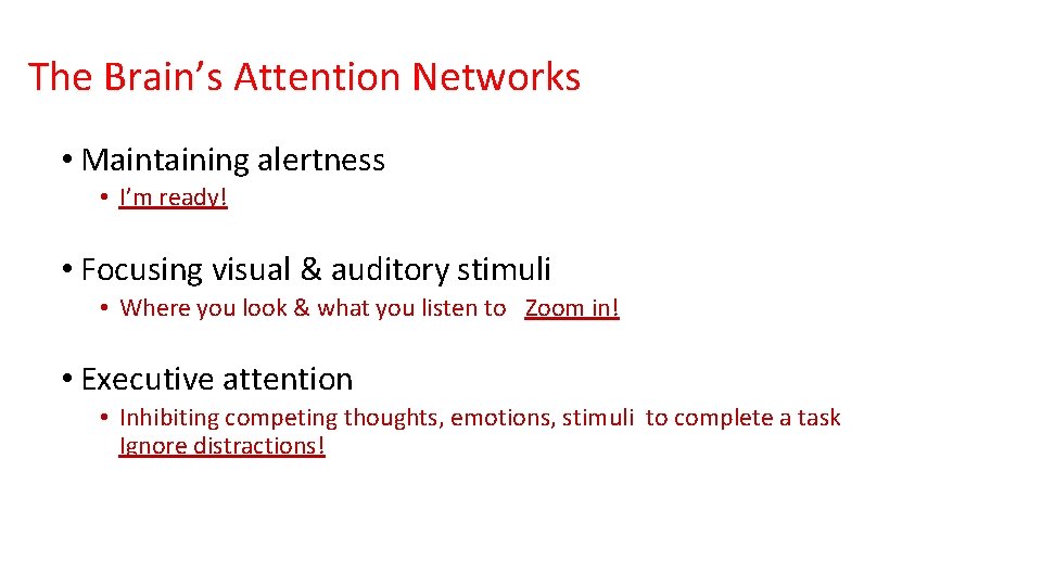 The Brain’s Attention Networks • Maintaining alertness • I’m ready! • Focusing visual &