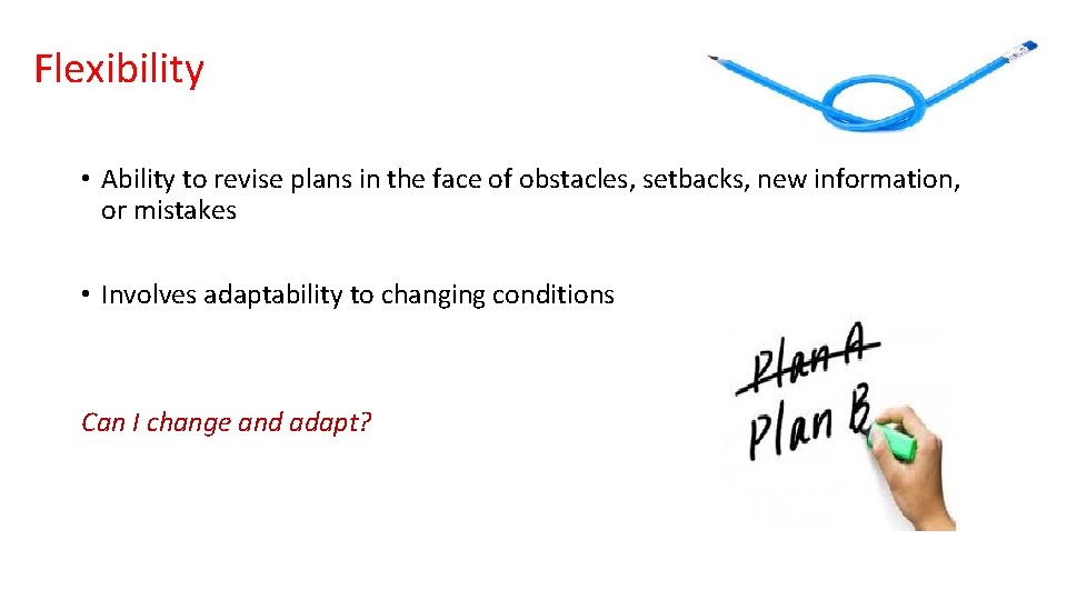 Flexibility • Ability to revise plans in the face of obstacles, setbacks, new information,
