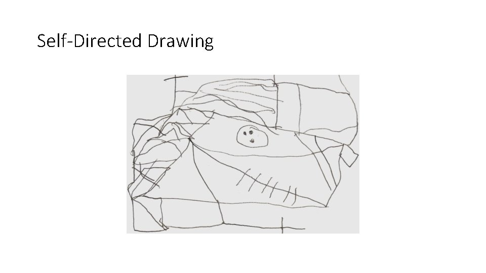 Self-Directed Drawing 