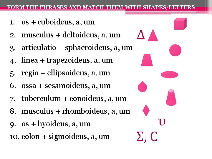 FORM THE PHRASES AND MATCH THEM WITH SHAPES/LETTERS 1. os + cuboideus, a, um