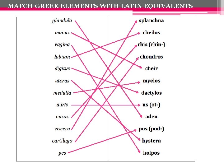 MATCH GREEK ELEMENTS WITH LATIN EQUIVALENTS 