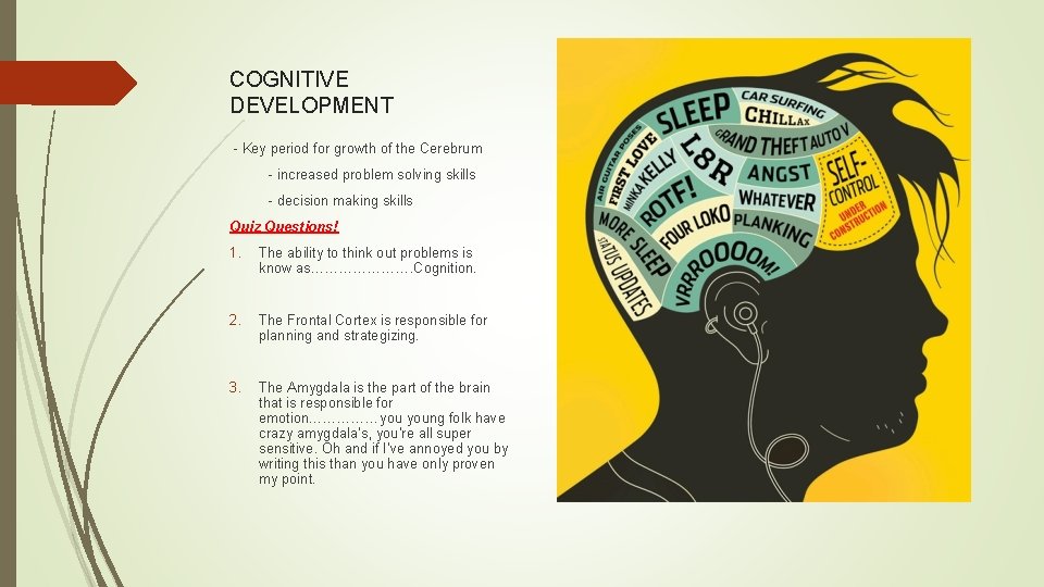 COGNITIVE DEVELOPMENT - Key period for growth of the Cerebrum - increased problem solving