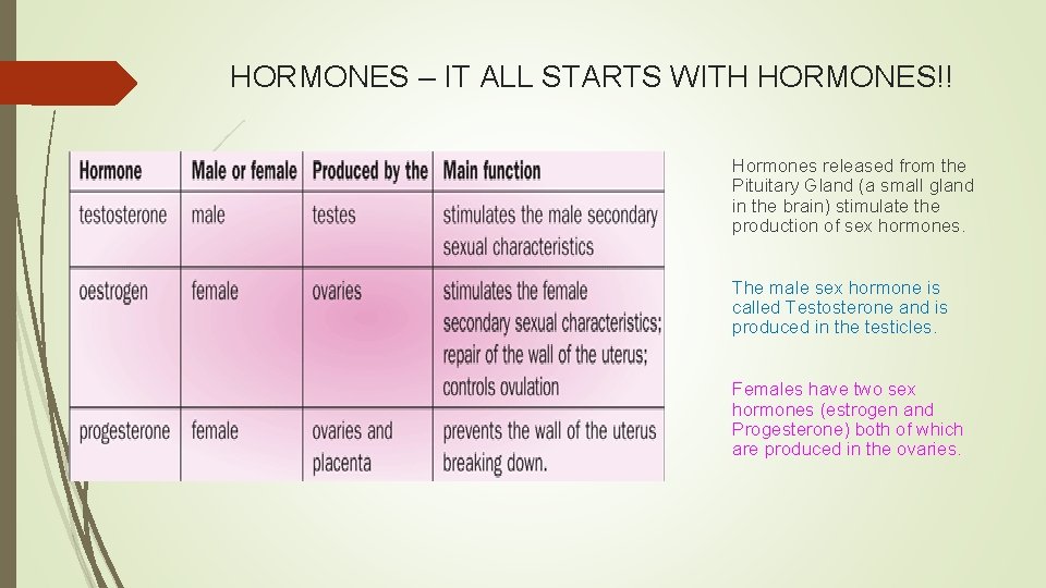 HORMONES – IT ALL STARTS WITH HORMONES!! Hormones released from the Pituitary Gland (a