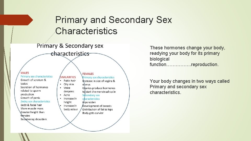 Primary and Secondary Sex Characteristics These hormones change your body, readying your body for