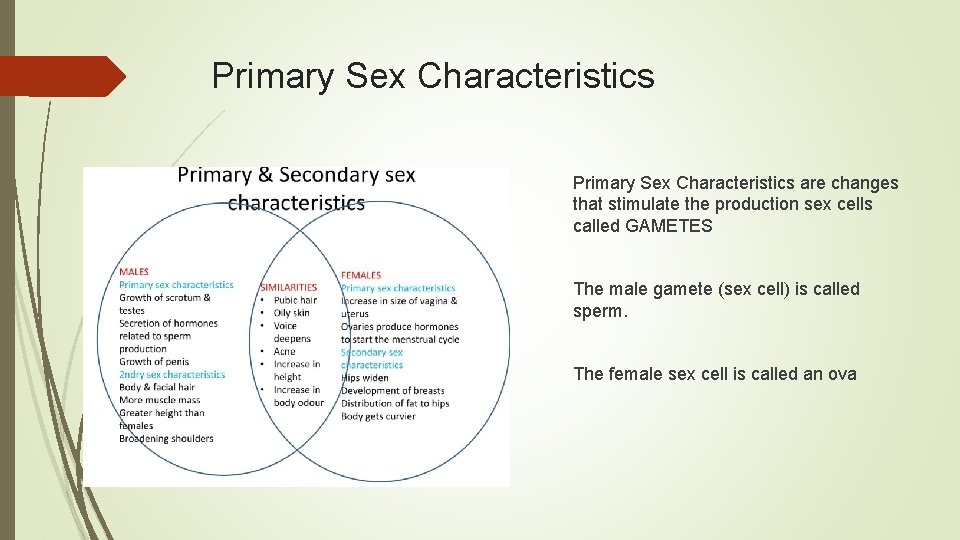 Primary Sex Characteristics are changes that stimulate the production sex cells called GAMETES The
