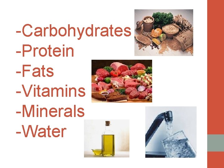 -Carbohydrates -Protein -Fats -Vitamins -Minerals -Water 