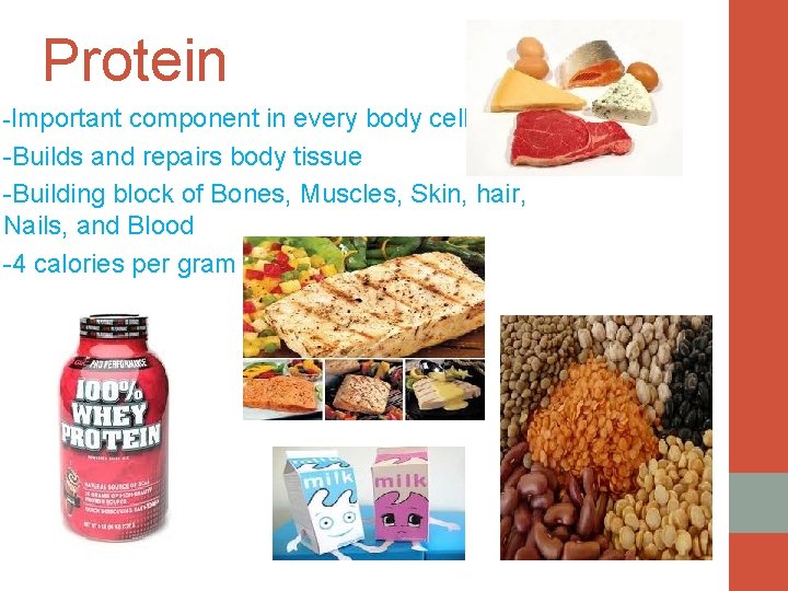 Protein -Important component in every body cell -Builds and repairs body tissue -Building block
