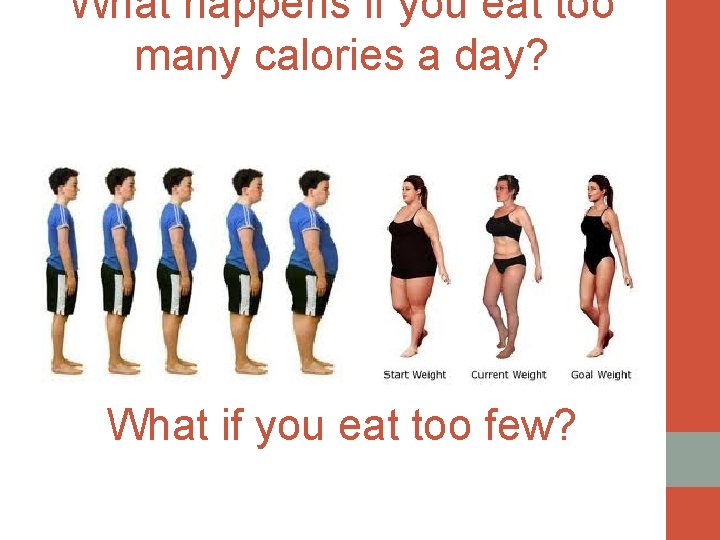 What happens if you eat too many calories a day? What if you eat